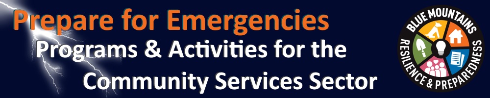emergency activities services3